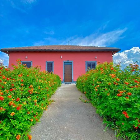 Cs Villa Fronte Etna Centuripe Eksteriør billede